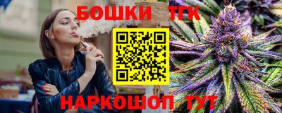 индика Кингисепп