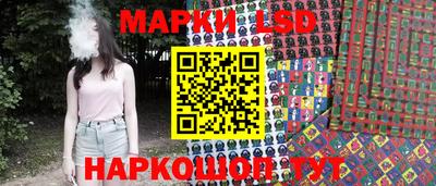 индика Кингисепп
