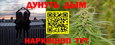 индика Кингисепп
