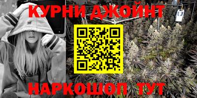 индика Кингисепп