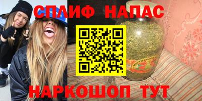 индика Кингисепп