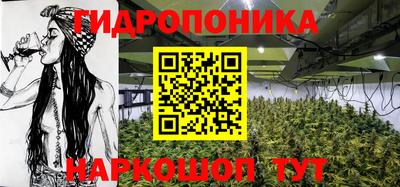 крисы Кимры