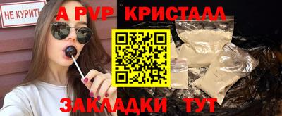индика Кингисепп