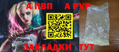 индика Кингисепп