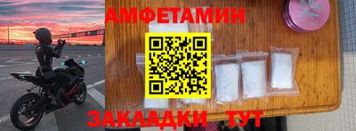 индика Кингисепп