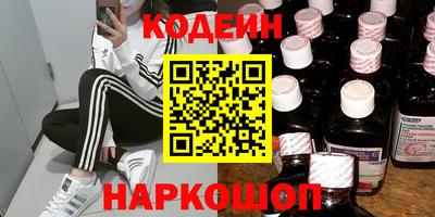 индика Кингисепп
