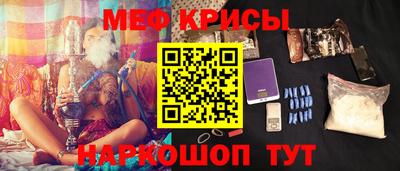индика Кингисепп