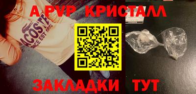 индика Кингисепп