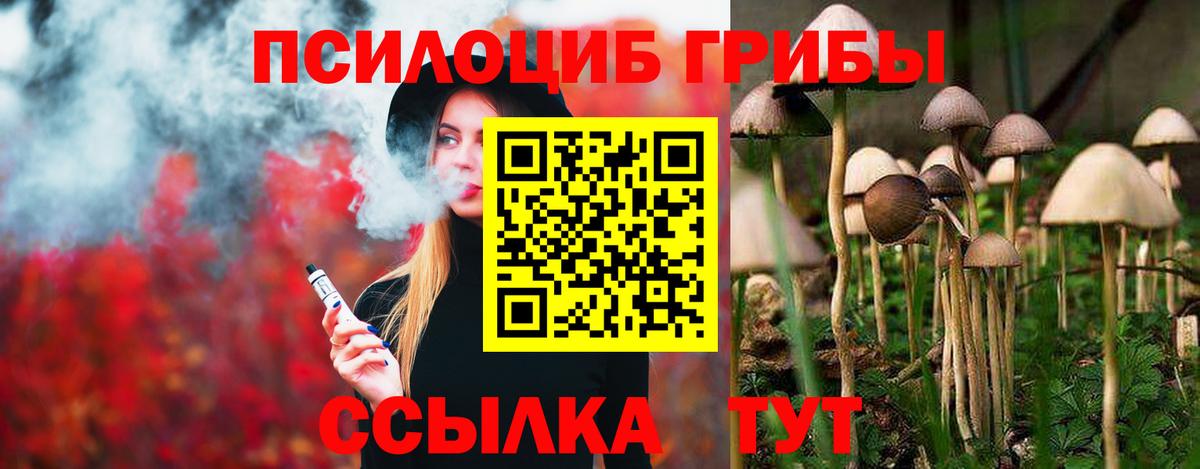 Псилоцибиновые грибы мухоморы Фрязино